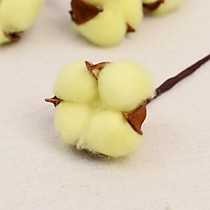 Декор сухоцвет «Хлопок»