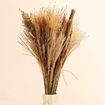 Букет из сухоцветов «Изумление»