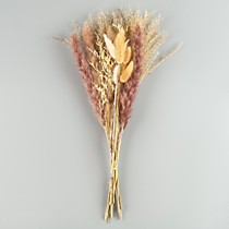 Сухоцветы «Лагурус»