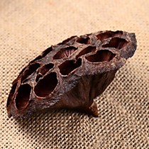 Декор сухоцвет «Лотос»