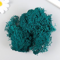 Мох стабилизированный «Морская волна»