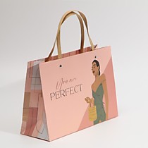 Пакет подарочный «Ты идеальна»