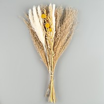 Сухоцветы «Сказка»