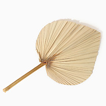 Сухие цветы «Лист пальмовый»