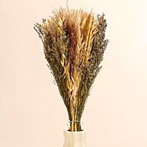 Букет из сухоцветов «Мечта»